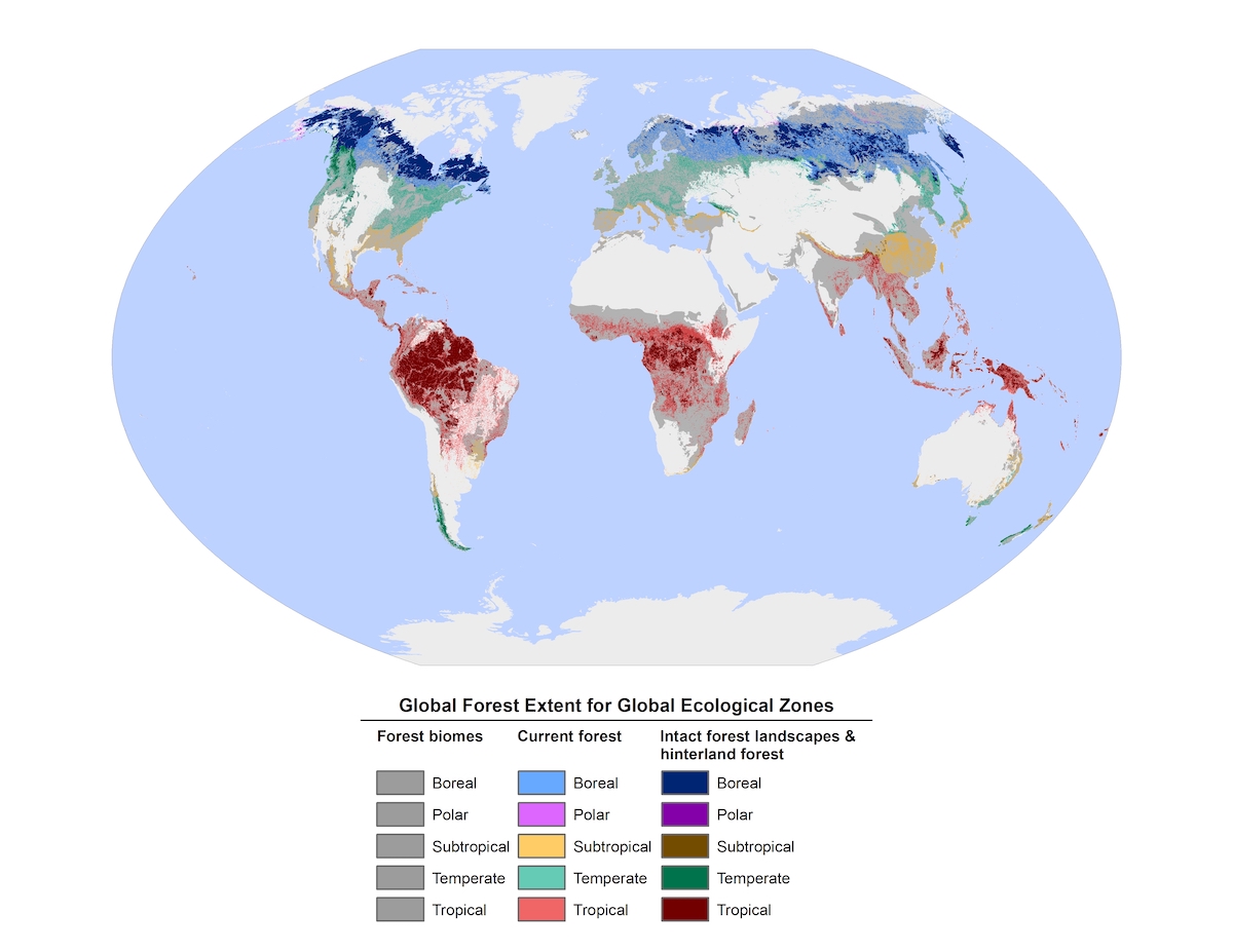 Global Forest Extent for Global Ecological Zones